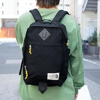 並行輸入 ノースフェイス） FACE（ザ NORTH THE ザノースフェイス ザ フェイス ノース スノーボード
